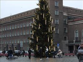 Großer Baum am zentralen Platz