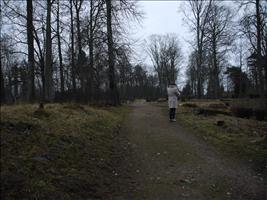 Ein Friedhof. Völlig verwahrlost