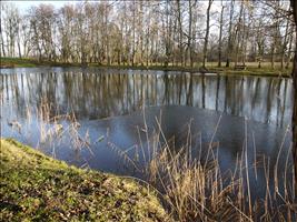 Schon leichte Eisdecke auf dem Teich