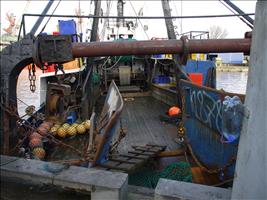 Ein richtiger Fisch-Trawler
