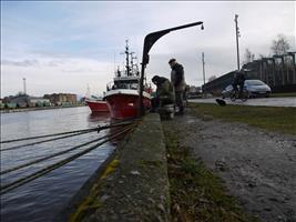 Und noch mehr Angler
