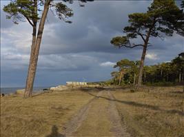 Da kommt was am Horizont