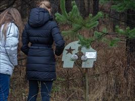 Auf der anderen Straßenseite, im Wald, stehen Gedenkplaketten.