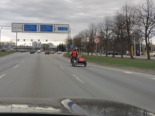 Hunde im Motorwagen!