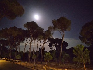 Gute Nacht aus Alcala de Guadaira