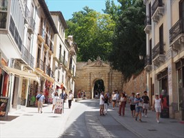 Puerta de las Granadas