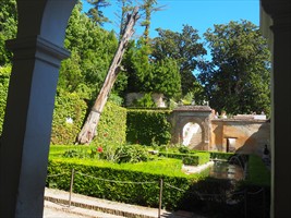 Auf wiedersehen Alhambra