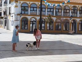 Hundekontakt muss immer sein
