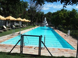 Wir wollen Pool machen