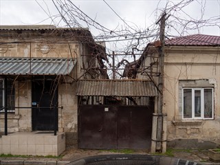 Ob das wohl schön blüht wenn die Zeit dafür ist?