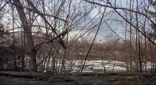 Innen drin gibt es nur Gestrüpp